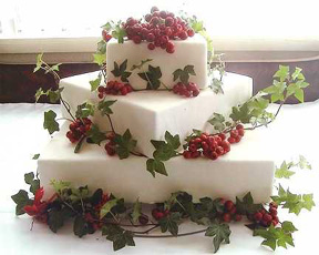 cake 6 ivy and grapes offset squares